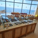 오렌지 애견카페 이미지