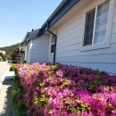 해안29번가 이미지