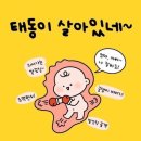 문정로48번길 이미지