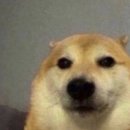 이마트 여의도점 화장실 | 체인소맨 ~레제편~ 4dx 후기 (용산/여의도)