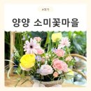 소미꽃마을