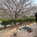 코지독하우스 이미지