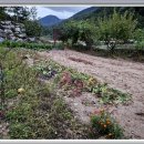 땅콩민박 이미지