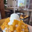 금마 | ✨익산 금마 한옥카페 단향 후기✨