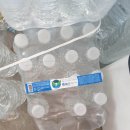 드림독 강아지 고양이 안심분양센터 시흥점 이미지