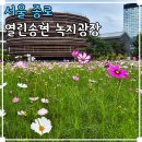송현공원(이동) | 서울 코스모스 가을 꽃구경 가볼만한곳 안국 놀거리 열린송현 녹지광장
