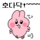 시현펫살롱 이미지