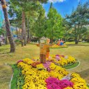 평화경로당 | 부산 가볼만한곳 평화공원 국화축제