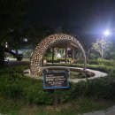 상원시장 이미지