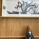 디자인.N 건축사사무소 이미지