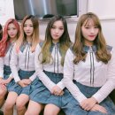 꿈둥이 이미지