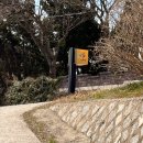 무안-7 | 무안 브런치 카페 겸 식당 달꽃언덕 메뉴 추천