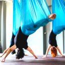 요가&필라테스Ⅰ 이미지