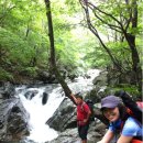 곰배령스케치 이미지