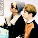 뽀숑뽀숑 이미지