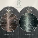 헤어팡팡&가발 이미지