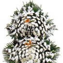 금일읍-5 이미지