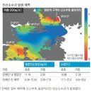 경남 진해만서 '산소부족 물덩어리' 발생 이미지