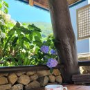 지리산화개깊은골 | 지리산화개깊은골 야외카페