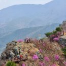 진달래약수터 이미지