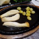 웃는돌 참치 이미지