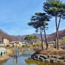 삼기저수지 등잔길 이미지
