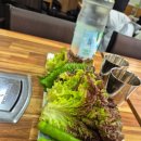 오가네식당 | 서울대 병원 맛집 오가네 식당 후기