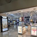 제주청정수 | 여행 3일차 Part. 3] 제주 여행 : 중문 면세점 위스키 쇼핑! 카발란 제주 에디션 DR1 &amp; DR2 득템 후기 🥃✨