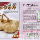 (주)천군만마