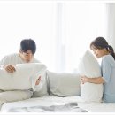 월드크리닝 이미지