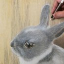 그린도그 이미지