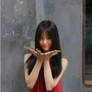 은진컴퍼니 이미지