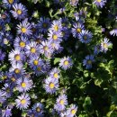 슬도주차장 이미지