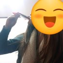 강서건강원 | 강서구 석류즙 자연 건강원 건강즙!