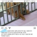 개맑음 이미지