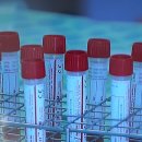 롯데이용소 이미지