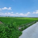 대산면908 이미지