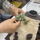 노원평생학습관 | 화성시평생학습관 가드닝클래스 후기! 이끼 테라리움 만들기로 완성한 감성 플랜테리어