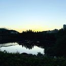 동백호수공원(광장) 이미지