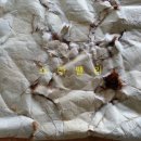 수선과 세탁 이미지