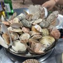 도봉-도봉-2466 이미지