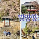 매화작은도서관 이미지