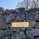 협재45m | 제주도 독채펜션 감성 숙소 협재45m