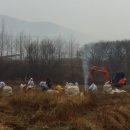 순흥농원 이미지