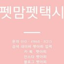 펫아찌펫아씨 이미지