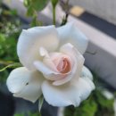 (주)에이원시스템 네이버블로그
