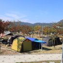 추억 만들기 캠핑장 이미지