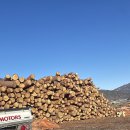 원통불가마 이미지