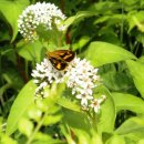 한천자연휴양림 이미지