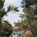 킴스관광호텔 | 🌴 방콕 가족여행 숙소 추천! 아난타라 리버사이드 완벽 정리 후기 🌊 내돈내산